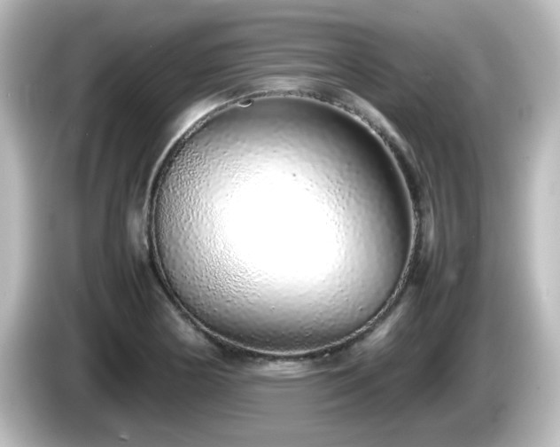 X0000085781178200703161158