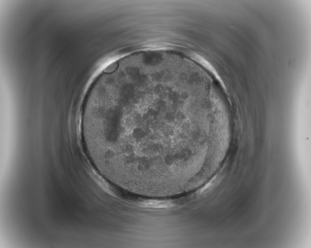 X0000085781179200703161158