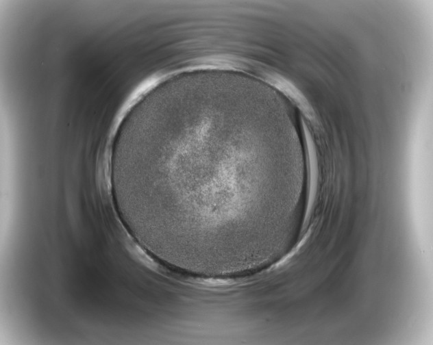 X0000085781180200703161158