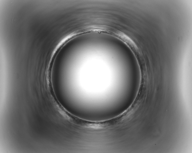 X0000085781182200703161158