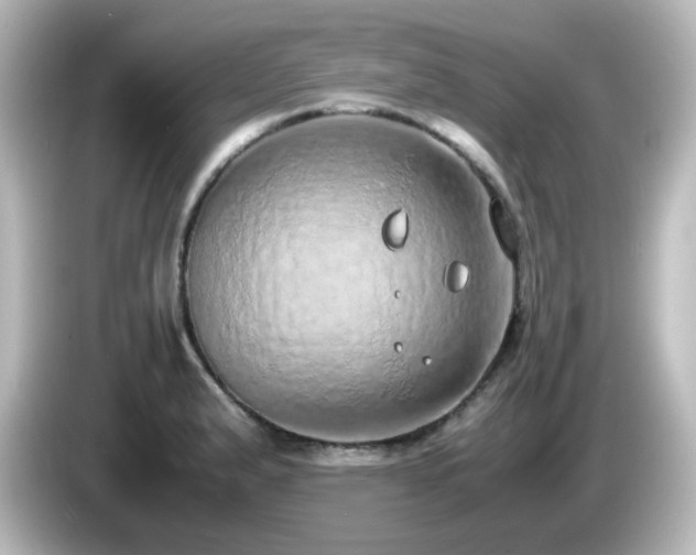 X0000085781183200703161158