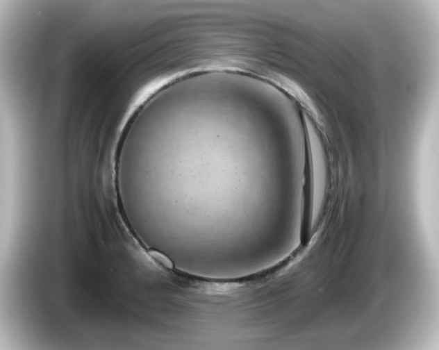 X0000085781184200703161158