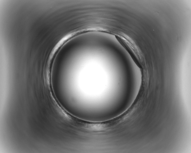 X0000085781188200703161158
