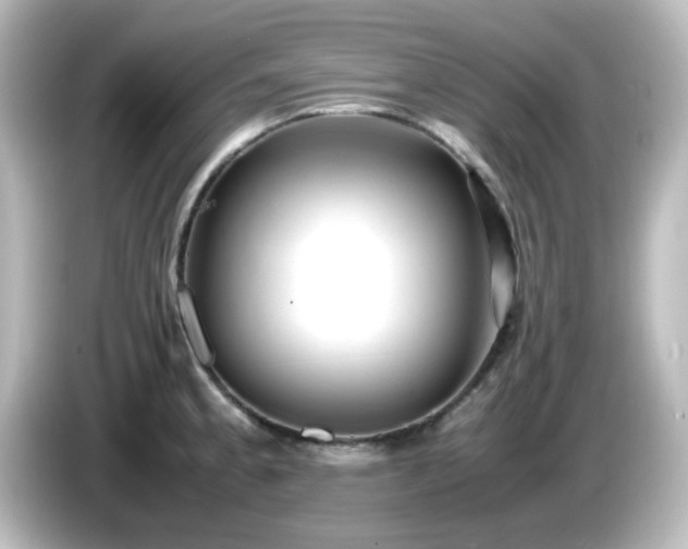 X0000085781189200703161158