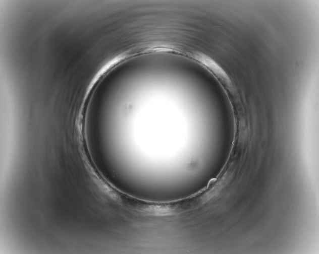X0000085781190200703161158