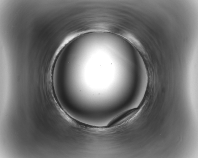 X0000085781192200703161158