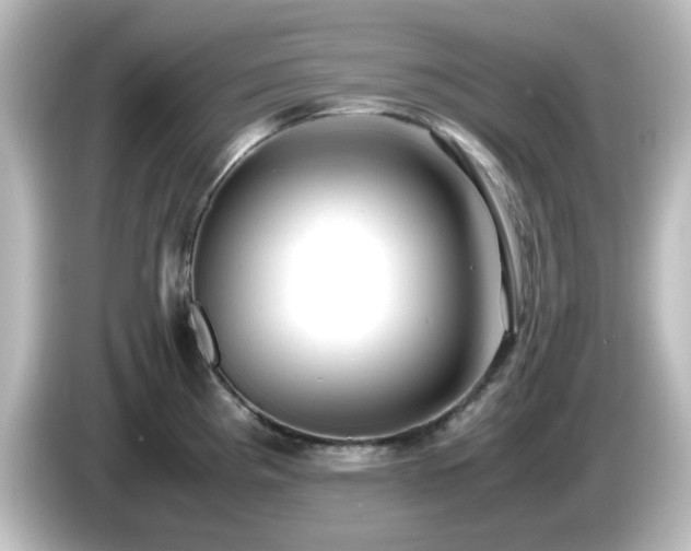 X0000085781193200703161158