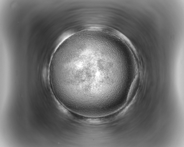 X0000085781194200703161158