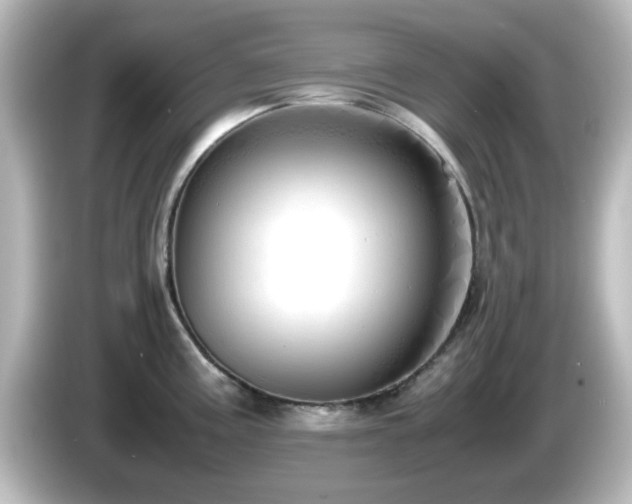 X0000085781195200703161158
