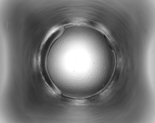 X0000085781196200703161158