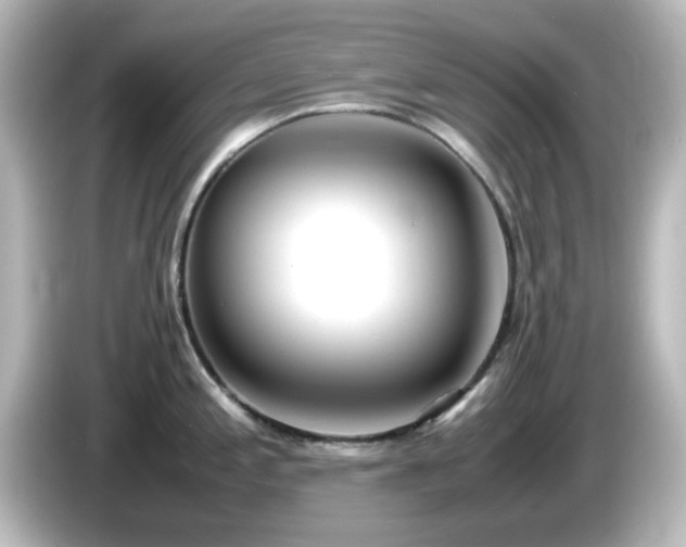 X0000085781197200703161158