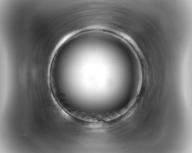X0000085781199200703161158