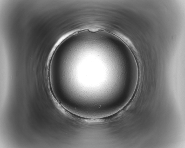 X0000085781200200703161158