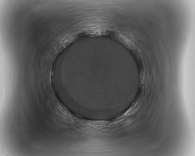 X0000085781202200703161157