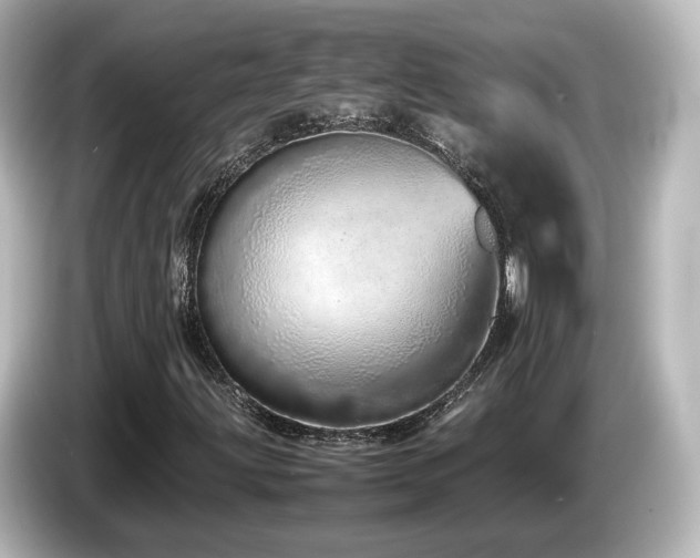 X0000085781203200703161157
