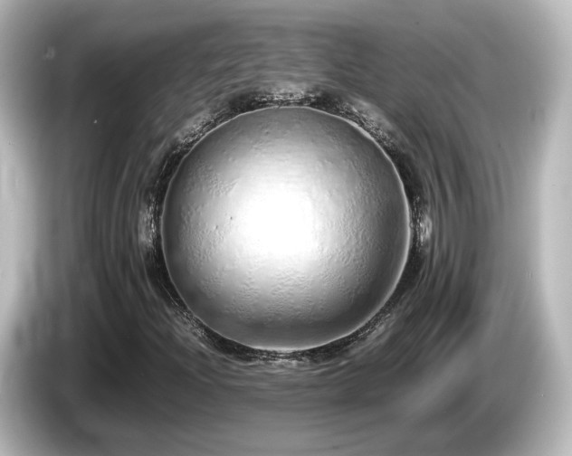 X0000085781204200703161157