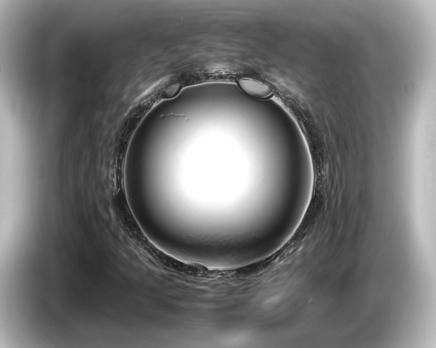X0000085781205200703161157