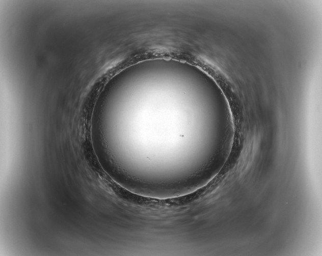 X0000085781207200703161157
