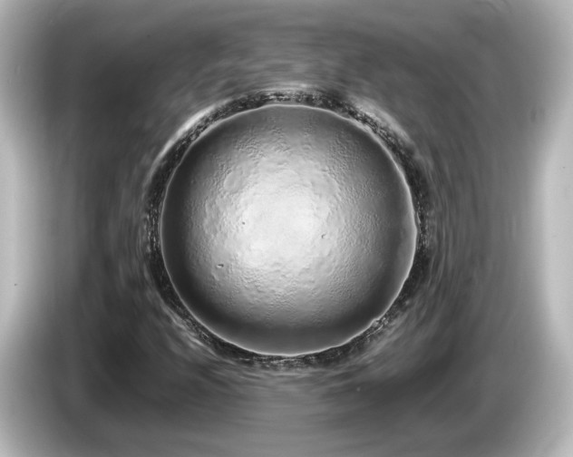 X0000085781208200703161157