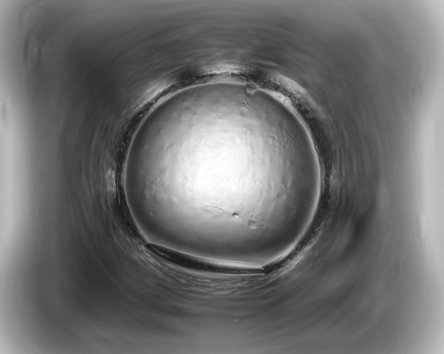 X0000085781209200703161157