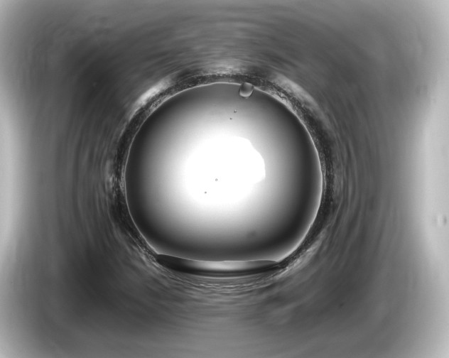 X0000085781210200703161157