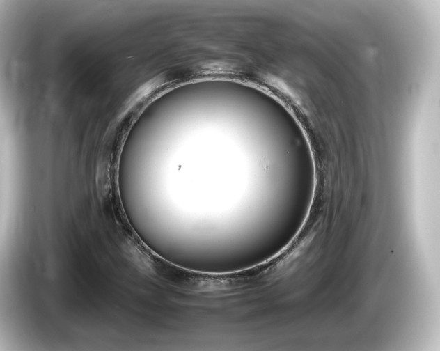 X0000085781211200703161157