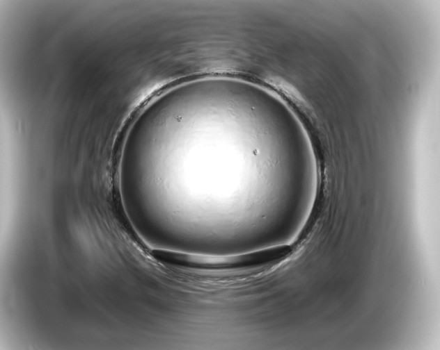X0000085781212200703161157