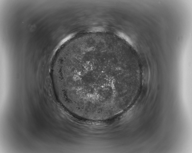 X0000085781213200703161157