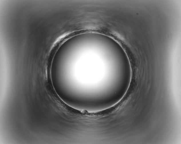 X0000085781214200703161157