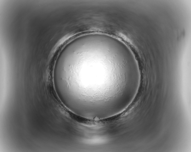 X0000085781215200703161157