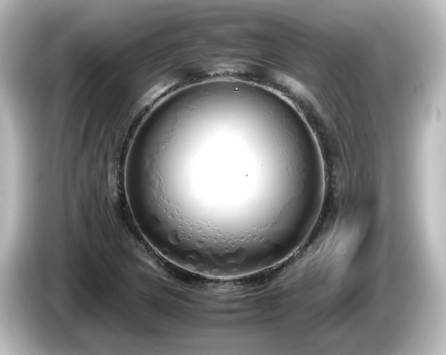 X0000085781217200703161157