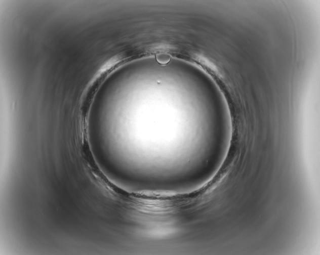 X0000085781219200703161157