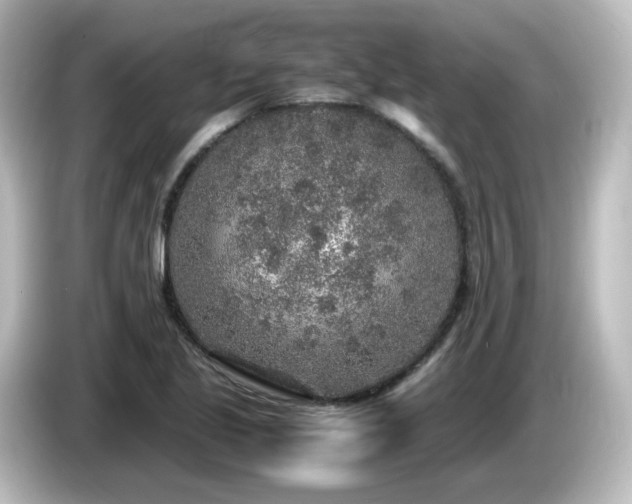 X0000085781221200703161157