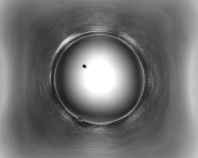 X0000085781222200703161157