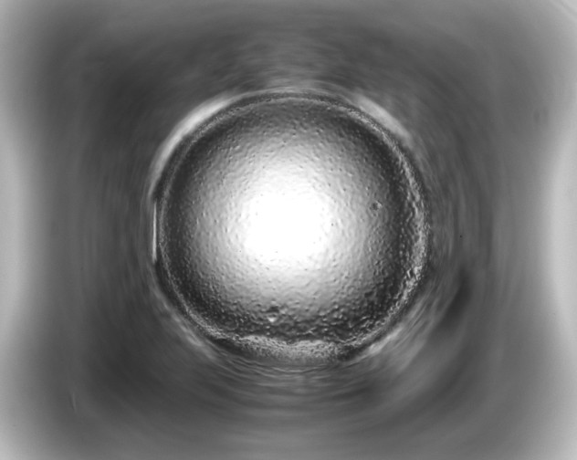 X0000085781223200703161157