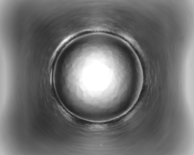 X0000085781224200703161157