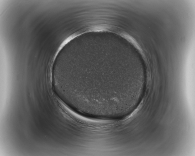X0000085781226200703161157