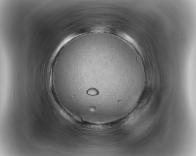 X0000085781227200703161158