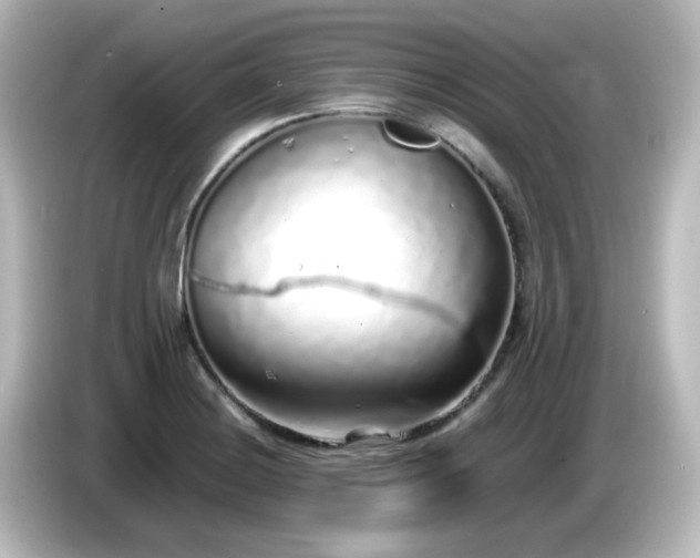 X0000085781228200703161158