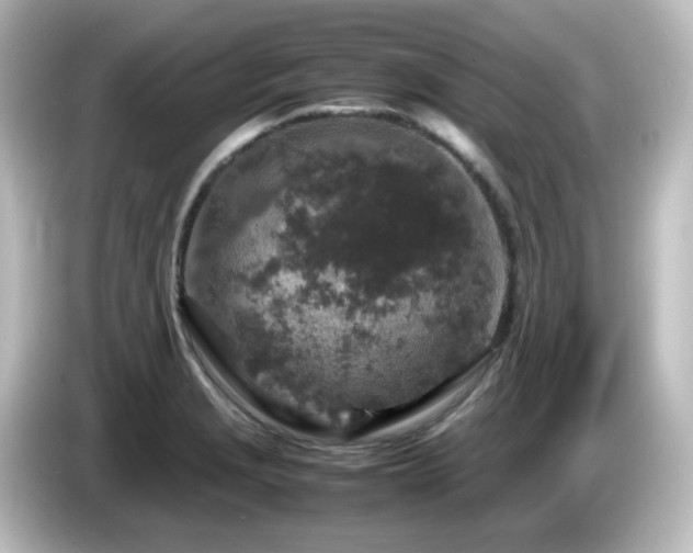 X0000085781229200703161158