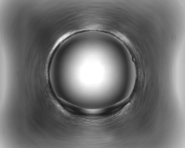 X0000085781230200703161158