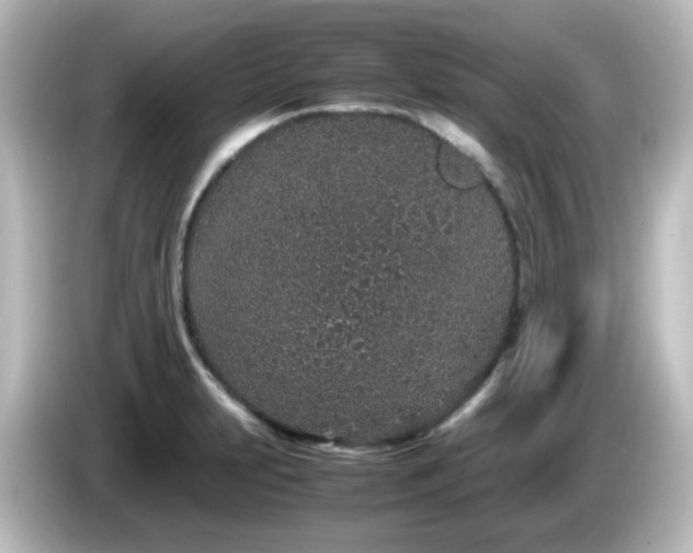 X0000085781231200703161158