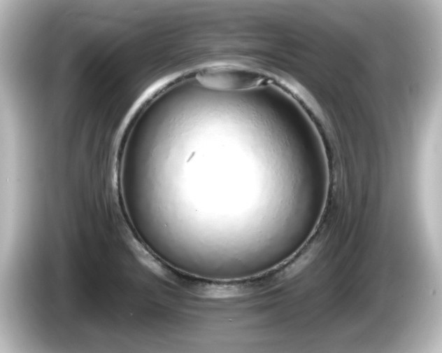 X0000085781232200703161158