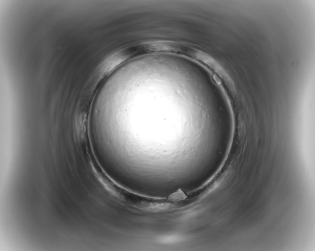 X0000085781233200703161158