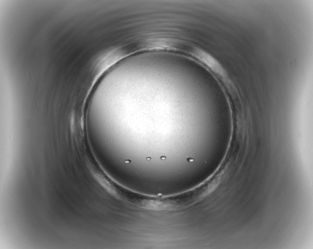 X0000085781234200703161158