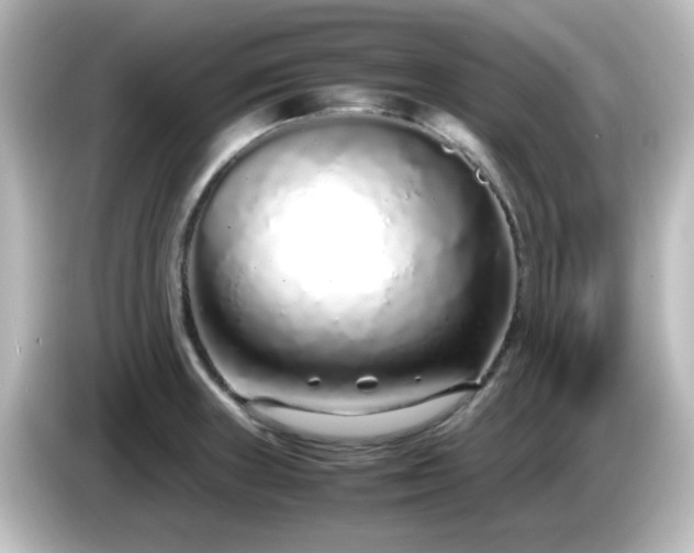 X0000085781235200703161158
