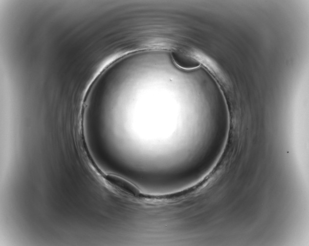 X0000085781236200703161158