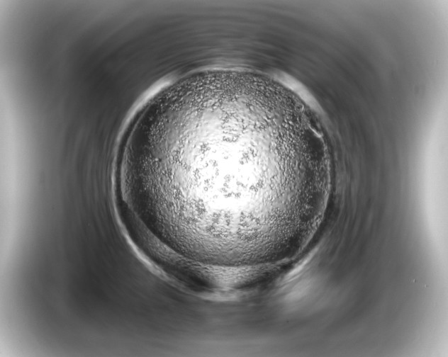X0000085781237200703161158