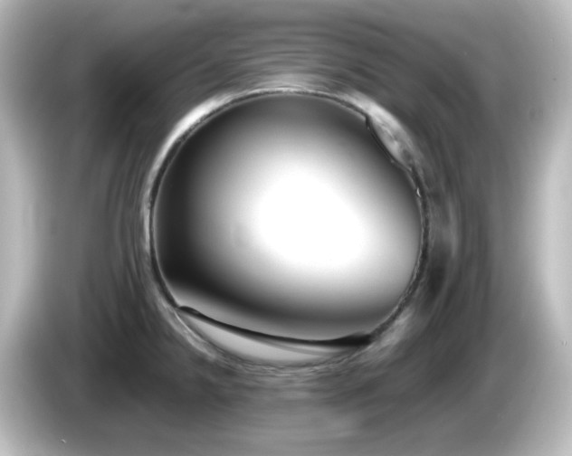 X0000085781238200703161158