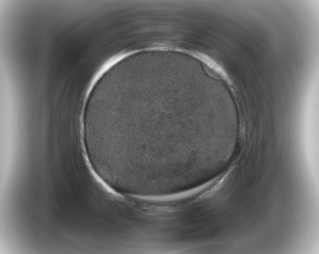 X0000085781239200703161158